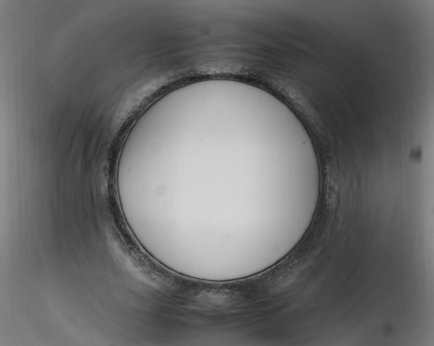 X0000116350631200912221502