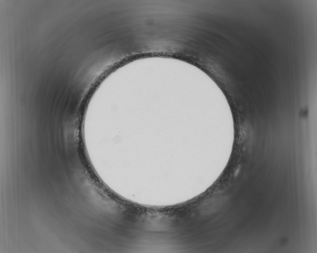 X0000116350632200912221502