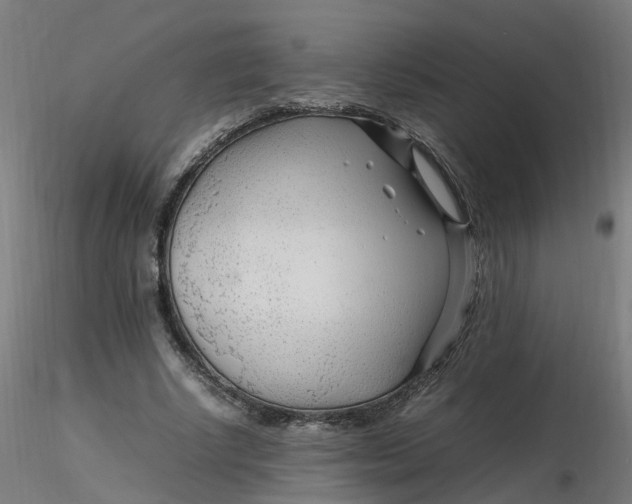 X0000116350634200912221502