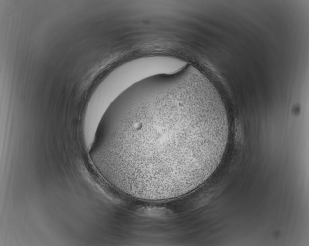 X0000116350637200912221503