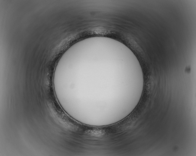 X0000116350639200912221503