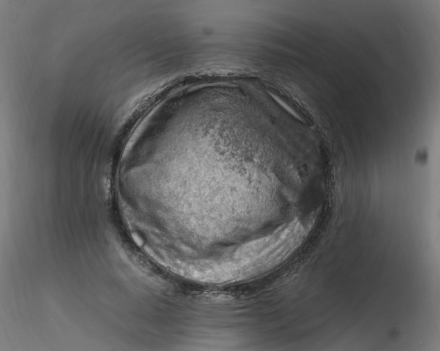 X0000116350640200912221503