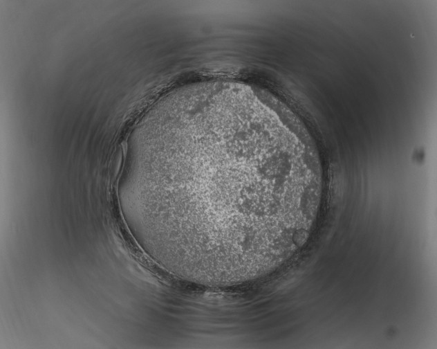 X0000116350641200912221503