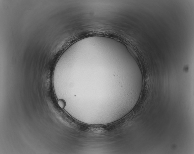 X0000116350642200912221503