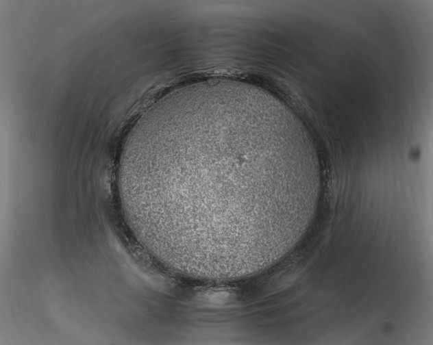 X0000116350643200912221503