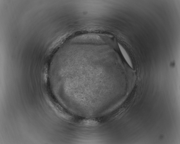 X0000116350644200912221503