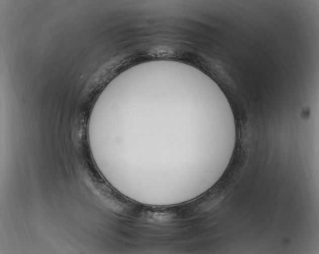 X0000116350645200912221503