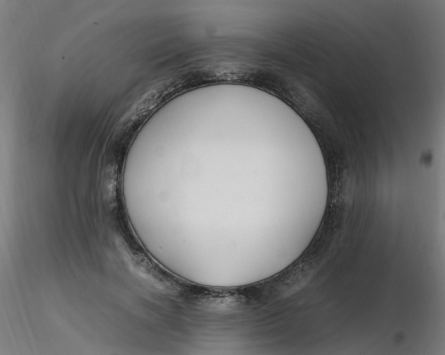 X0000116350646200912221503