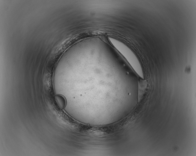 X0000116350648200912221503