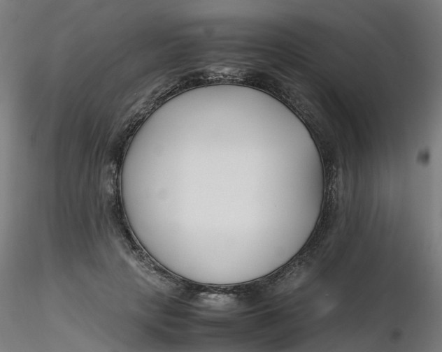 X0000116350649200912221503