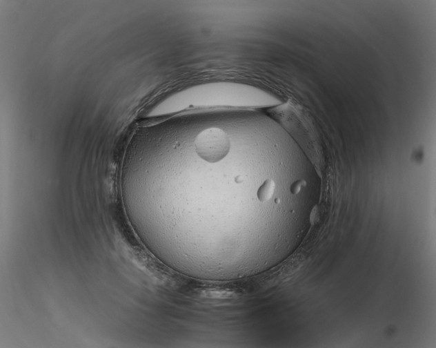 X0000116350650200912221503