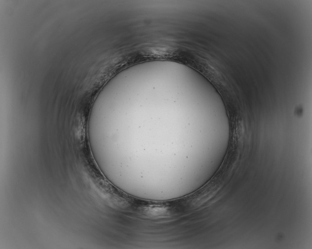 X0000116350651200912221503