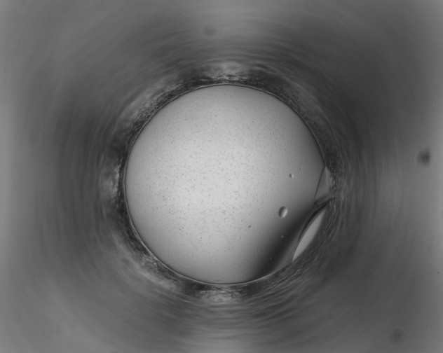 X0000116350652200912221503