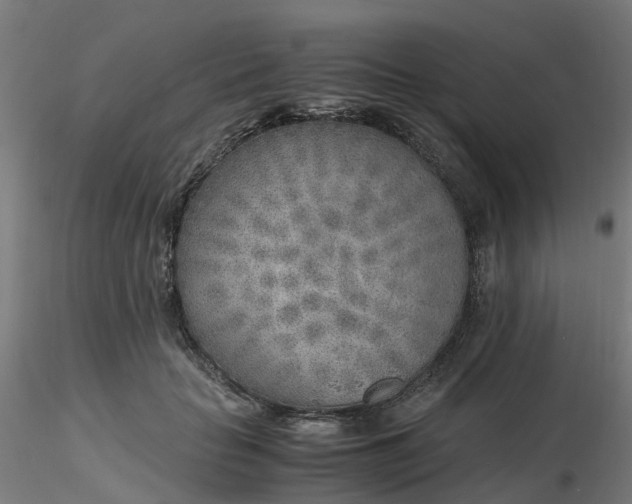 X0000116350653200912221503