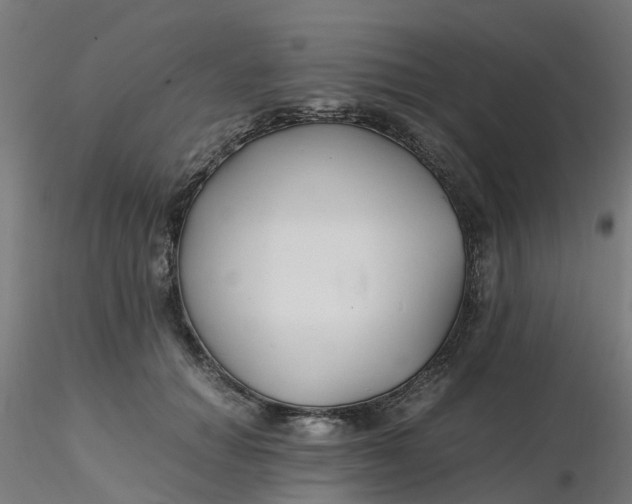 X0000116350654200912221503