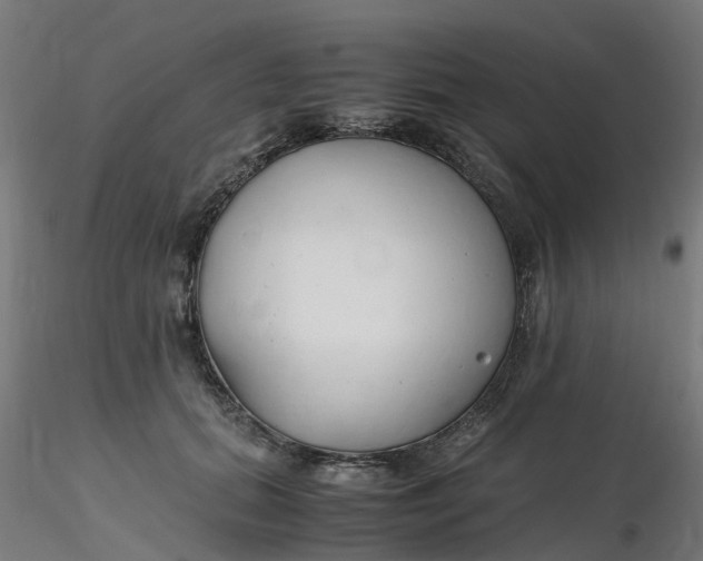 X0000116350655200912221503