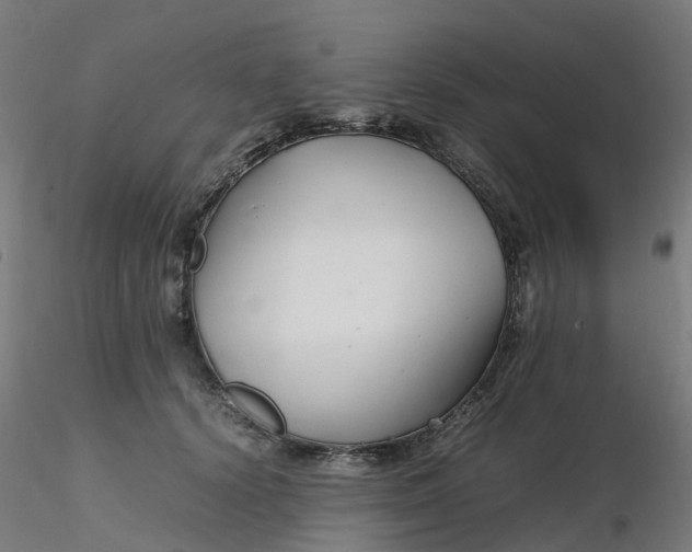 X0000116350656200912221503