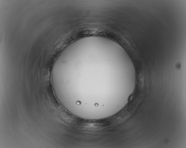 X0000116350657200912221503