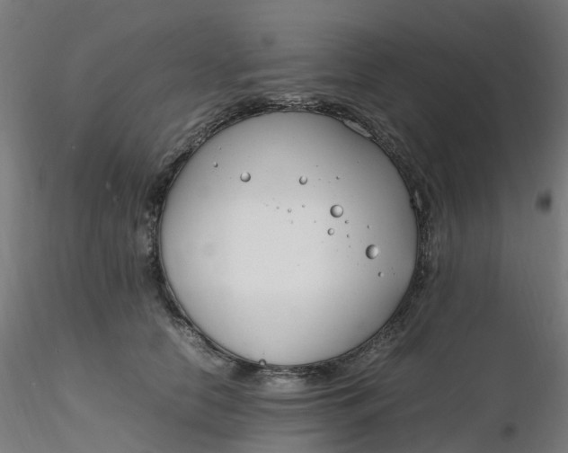 X0000116350658200912221503