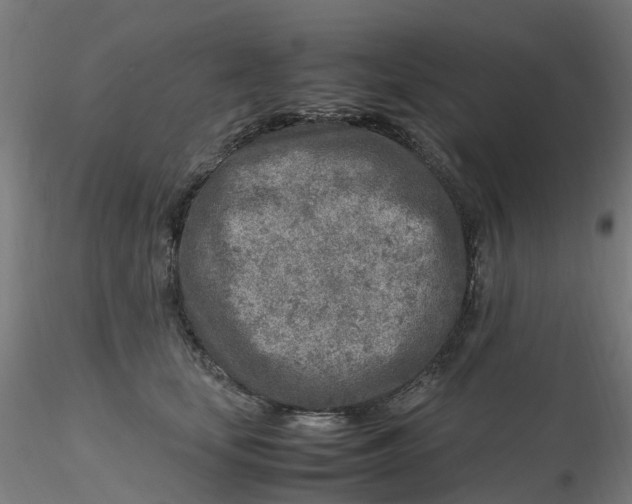 X0000116350659200912221503