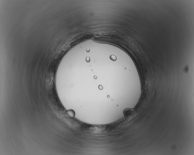 X0000116350660200912221503