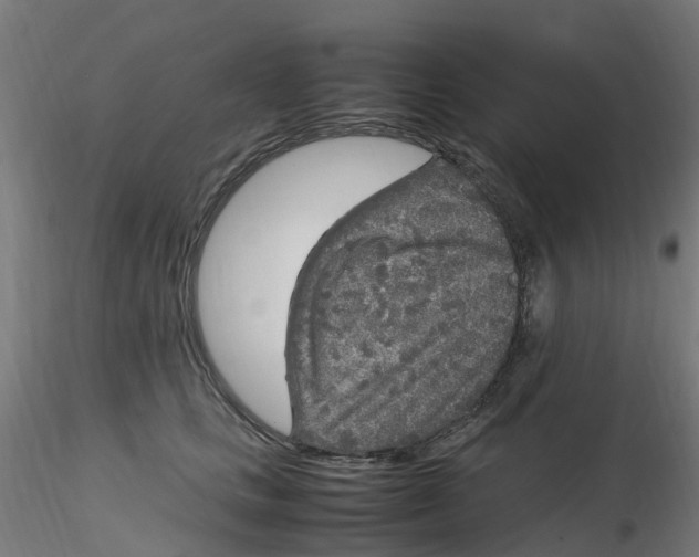 X0000116350661200912221503