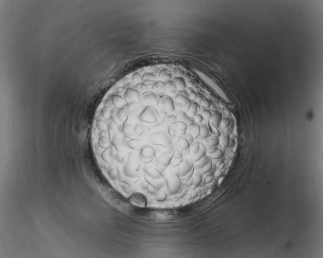 X0000116350662200912221503