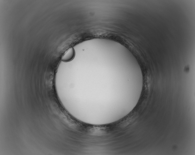 X0000116350664200912221503