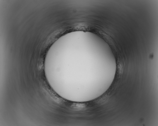 X0000116350665200912221503