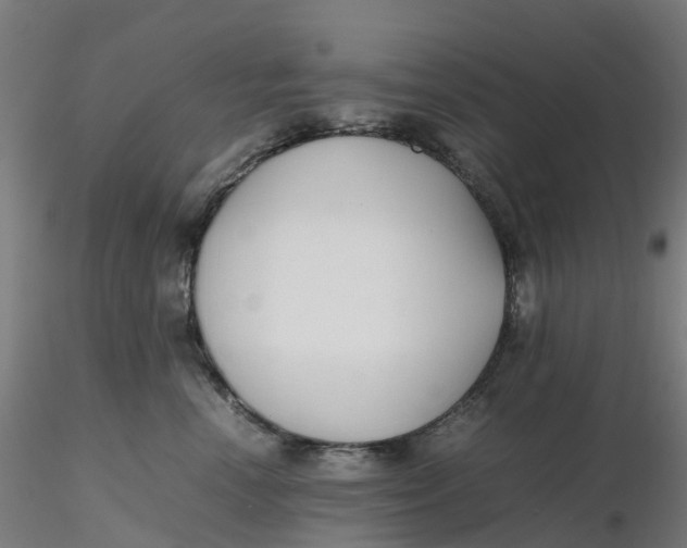 X0000116350666200912221503