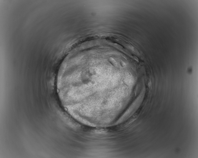 X0000116350668200912221503