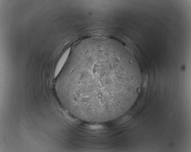 X0000116350669200912221503