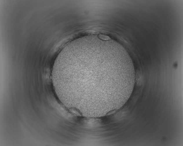 X0000116350670200912221503