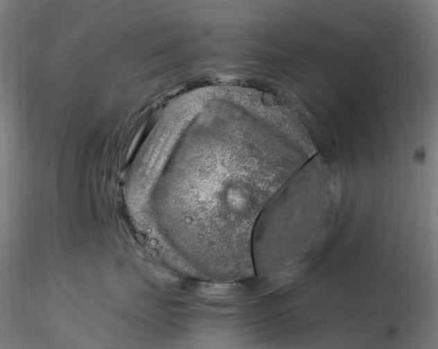 X0000116350671200912221503