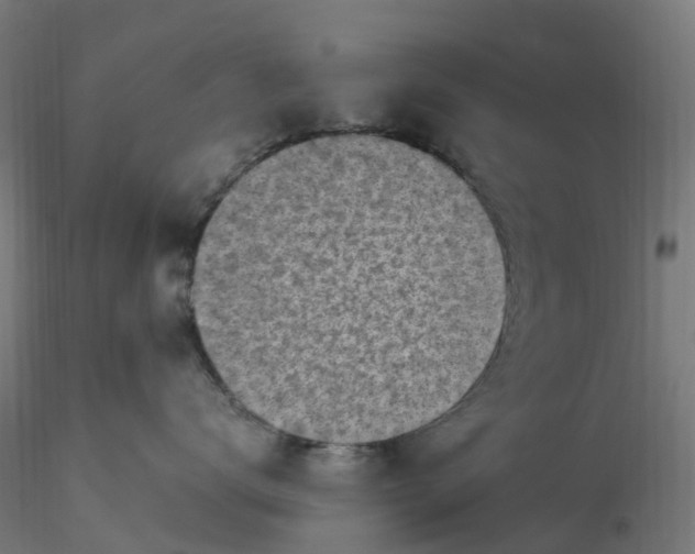 X0000116350672200912221503