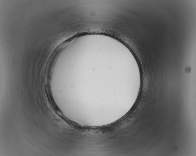 X0000116350673200912221502