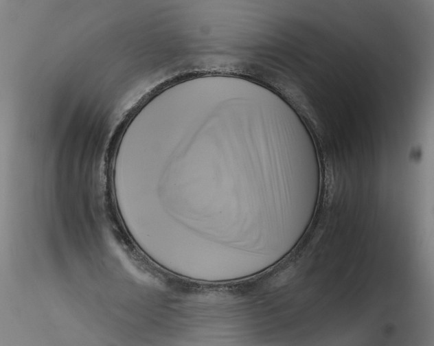 X0000116350674200912221502