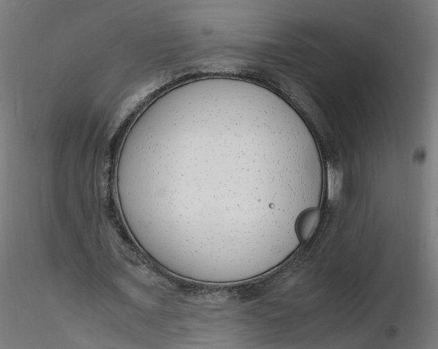 X0000116350675200912221502