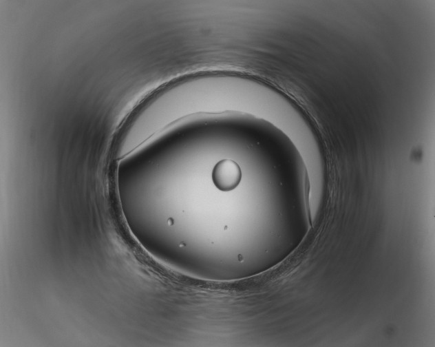 X0000116350676200912221502