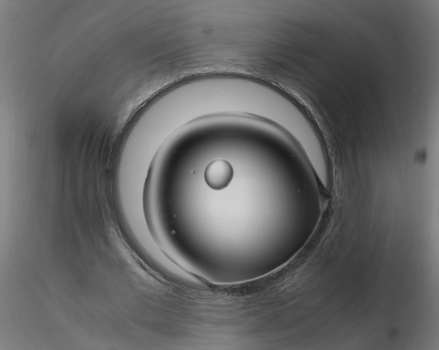 X0000116350677200912221502