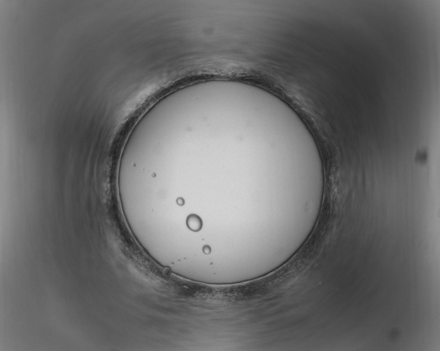 X0000116350679200912221502