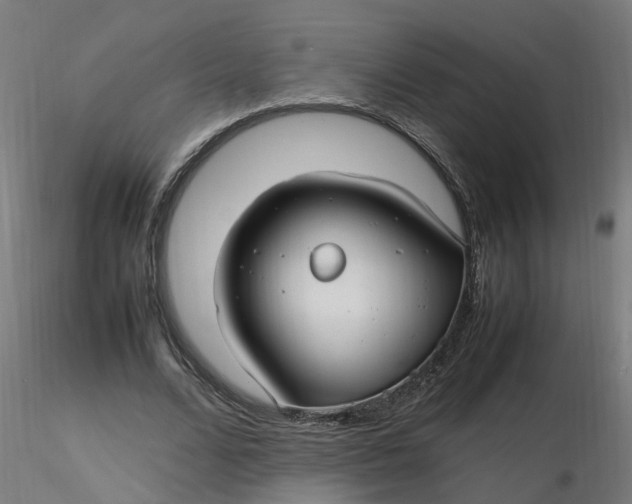 X0000116350680200912221502