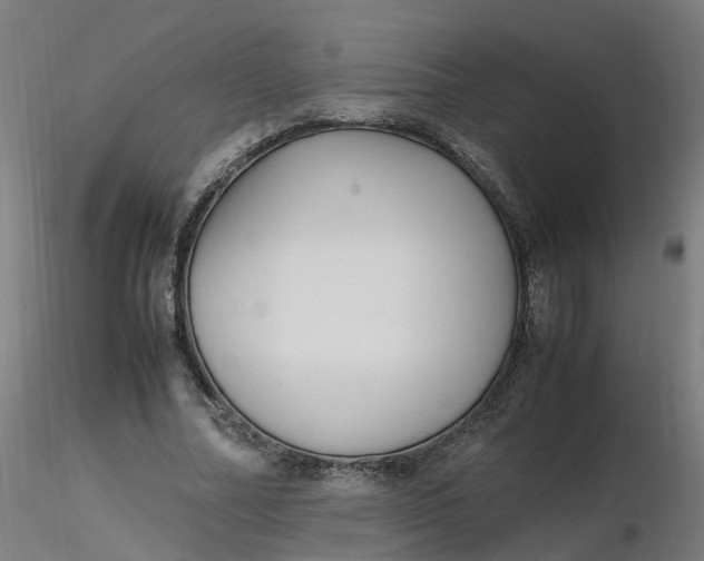 X0000116350682200912221502