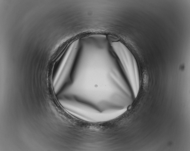 X0000116350684200912221502