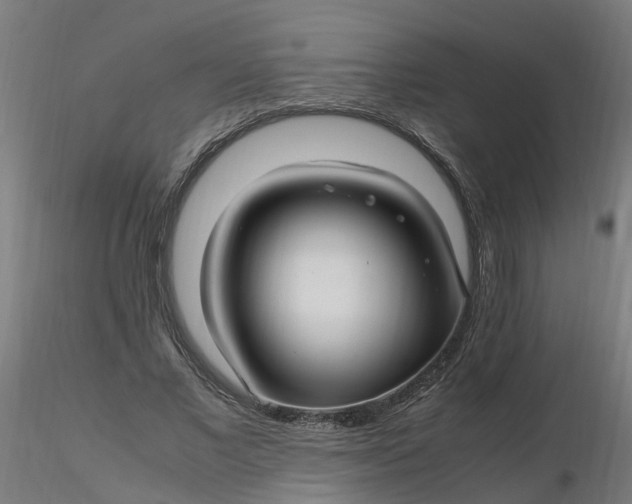 X0000116350685200912221502