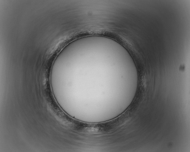 X0000116350687200912221502