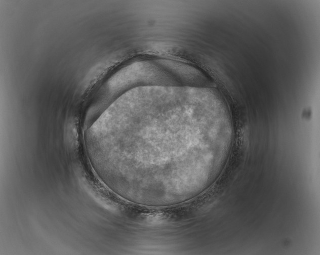 X0000116350688200912221502