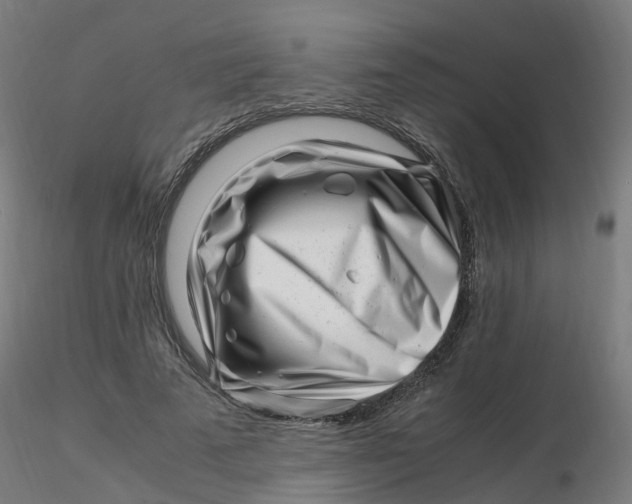 X0000116350689200912221502