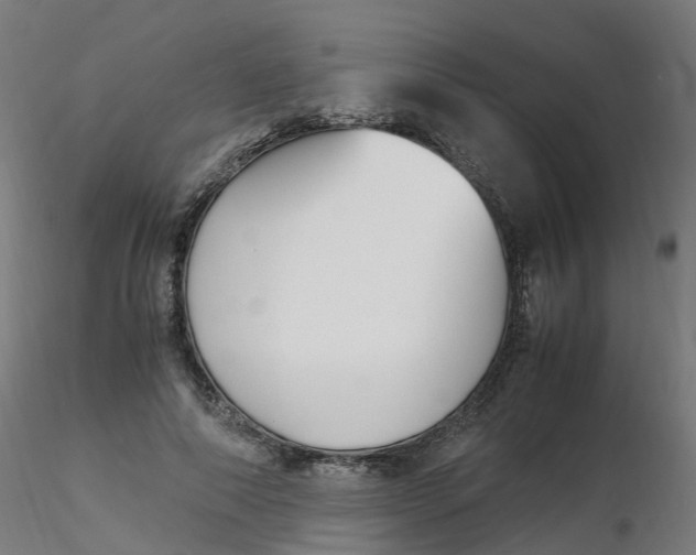 X0000116350690200912221502