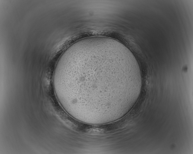 X0000116350691200912221502